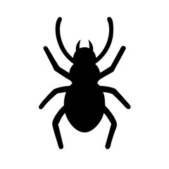 Spider: Intriguing Arachnids of Nature