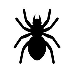 Spider: Intriguing Arachnids of Nature