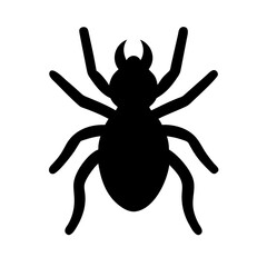 Spider: Intriguing Arachnids of Nature