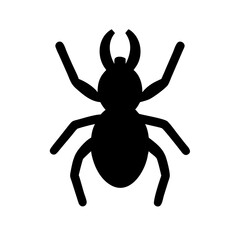 Spider: Intriguing Arachnids of Nature