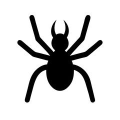 Spider: Intriguing Arachnids of Nature