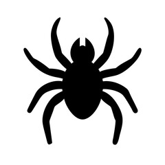 Spider: Intriguing Arachnids of Nature