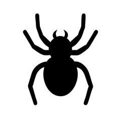 Spider: Intriguing Arachnids of Nature