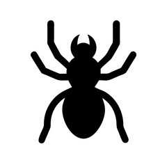 Spider: Intriguing Arachnids of Nature