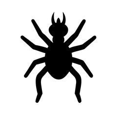 Spider: Intriguing Arachnids of Nature