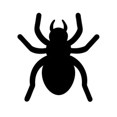 Spider: Intriguing Arachnids of Nature