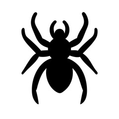 Spider: Intriguing Arachnids of Nature