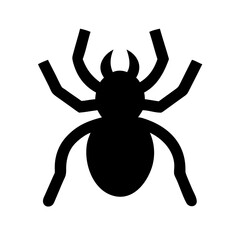 Obraz premium Spider: Intriguing Arachnids of Nature