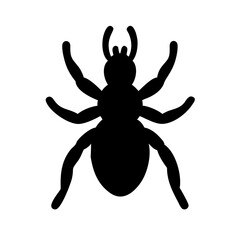 Spider: Intriguing Arachnids of Nature