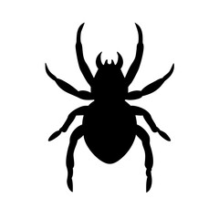 Spider: Intriguing Arachnids of Nature