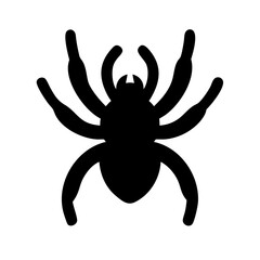 Spider: Intriguing Arachnids of Nature