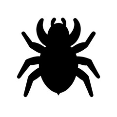 Spider: Intriguing Arachnids of Nature