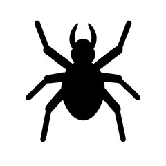 Spider: Intriguing Arachnids of Nature