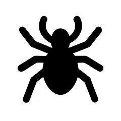 Spider: Intriguing Arachnids of Nature