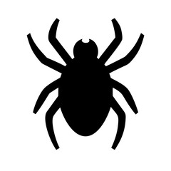 Spider: Intriguing Arachnids of Nature