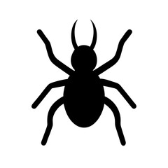 Spider: Intriguing Arachnids of Nature