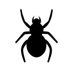 Spider: Intriguing Arachnids of Nature