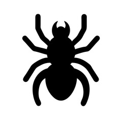 Spider: Intriguing Arachnids of Nature