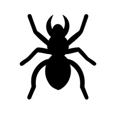 Spider: Intriguing Arachnids of Nature