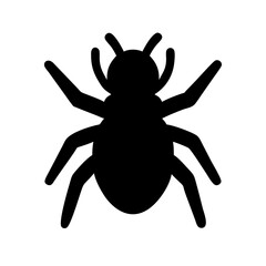 Spider: Intriguing Arachnids of Nature