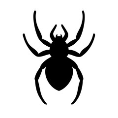 Spider: Intriguing Arachnids of Nature