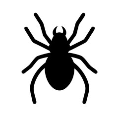 Spider: Intriguing Arachnids of Nature