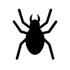 Spider: Intriguing Arachnids of Nature