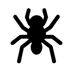 Spider: Intriguing Arachnids of Nature