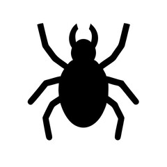 Spider: Intriguing Arachnids of Nature