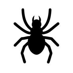 Spider: Intriguing Arachnids of Nature