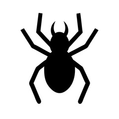 Spider: Intriguing Arachnids of Nature