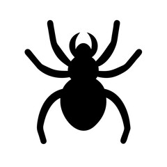 Spider: Intriguing Arachnids of Nature