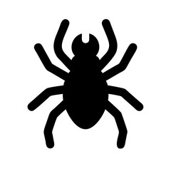 Spider: Intriguing Arachnids of Nature