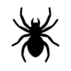 Spider: Intriguing Arachnids of Nature