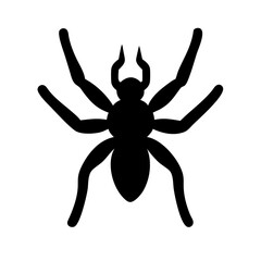 Spider: Intriguing Arachnids of Nature