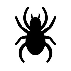 Spider: Intriguing Arachnids of Nature