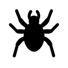 Spider: Intriguing Arachnids of Nature