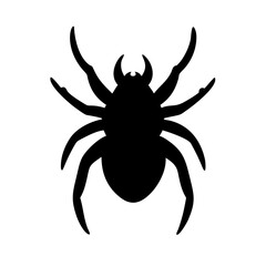 Spider: Intriguing Arachnids of Nature