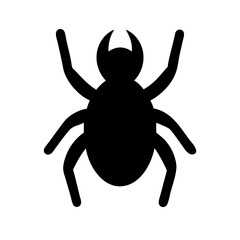 Spider: Intriguing Arachnids of Nature
