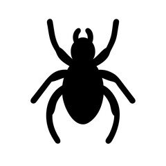 Spider: Intriguing Arachnids of Nature