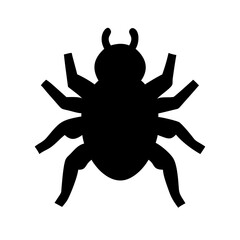 Spider: Intriguing Arachnids of Nature