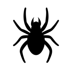 Spider: Intriguing Arachnids of Nature