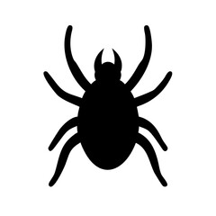 Spider: Intriguing Arachnids of Nature