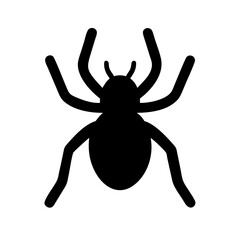 Spider: Intriguing Arachnids of Nature