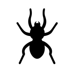 Spider: Intriguing Arachnids of Nature