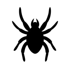 Spider: Intriguing Arachnids of Nature