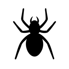 Spider: Intriguing Arachnids of Nature