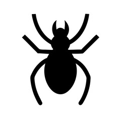 Spider: Intriguing Arachnids of Nature