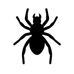 Spider: Intriguing Arachnids of Nature