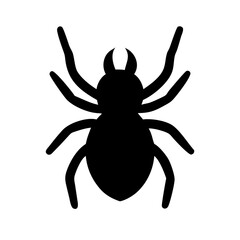 Spider: Intriguing Arachnids of Nature